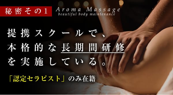 AIDAセラピストの長期間の研修